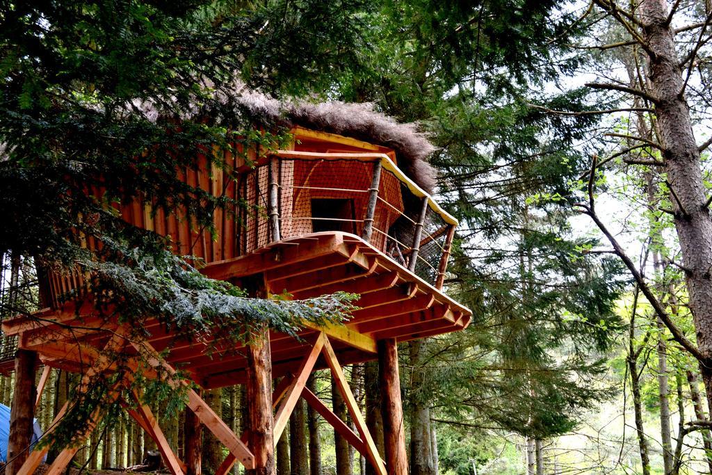 Cabanes Et Yourtes De La Vallee De L'Ance Hotel Sauvessanges Værelse billede